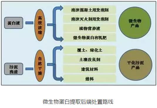 污泥处理处置市场不断扩大 什么才是主流技术？